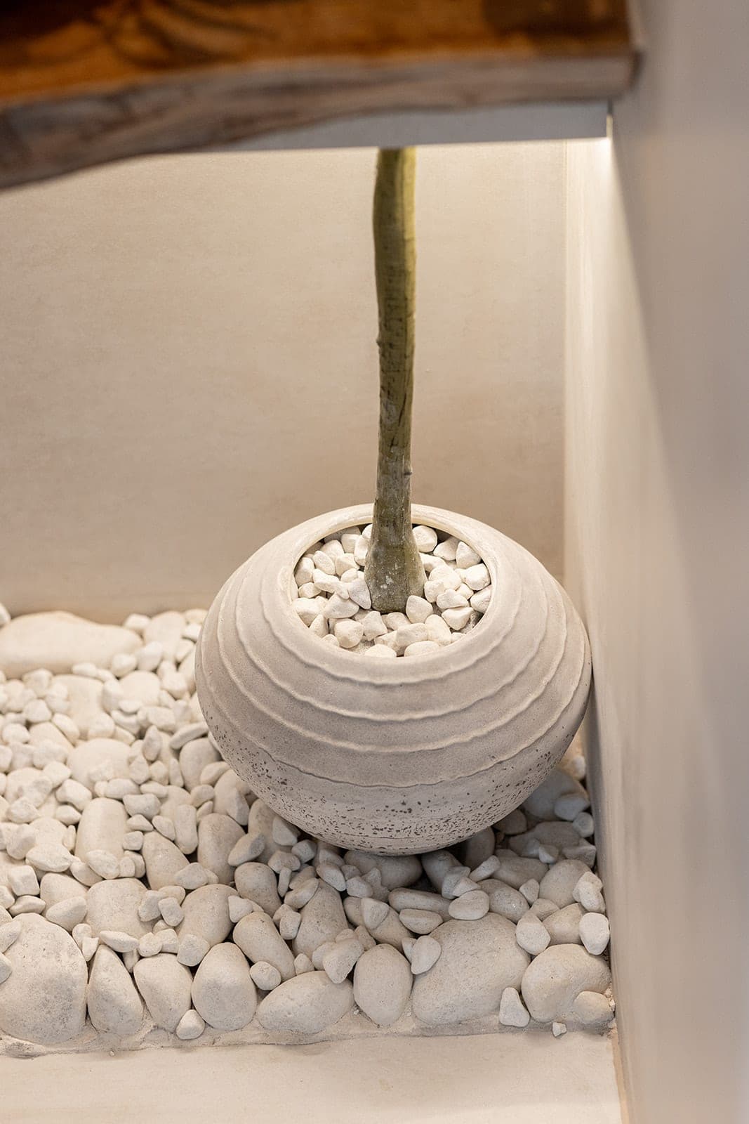 Powder Room, The Cricklewood Project, photo 17