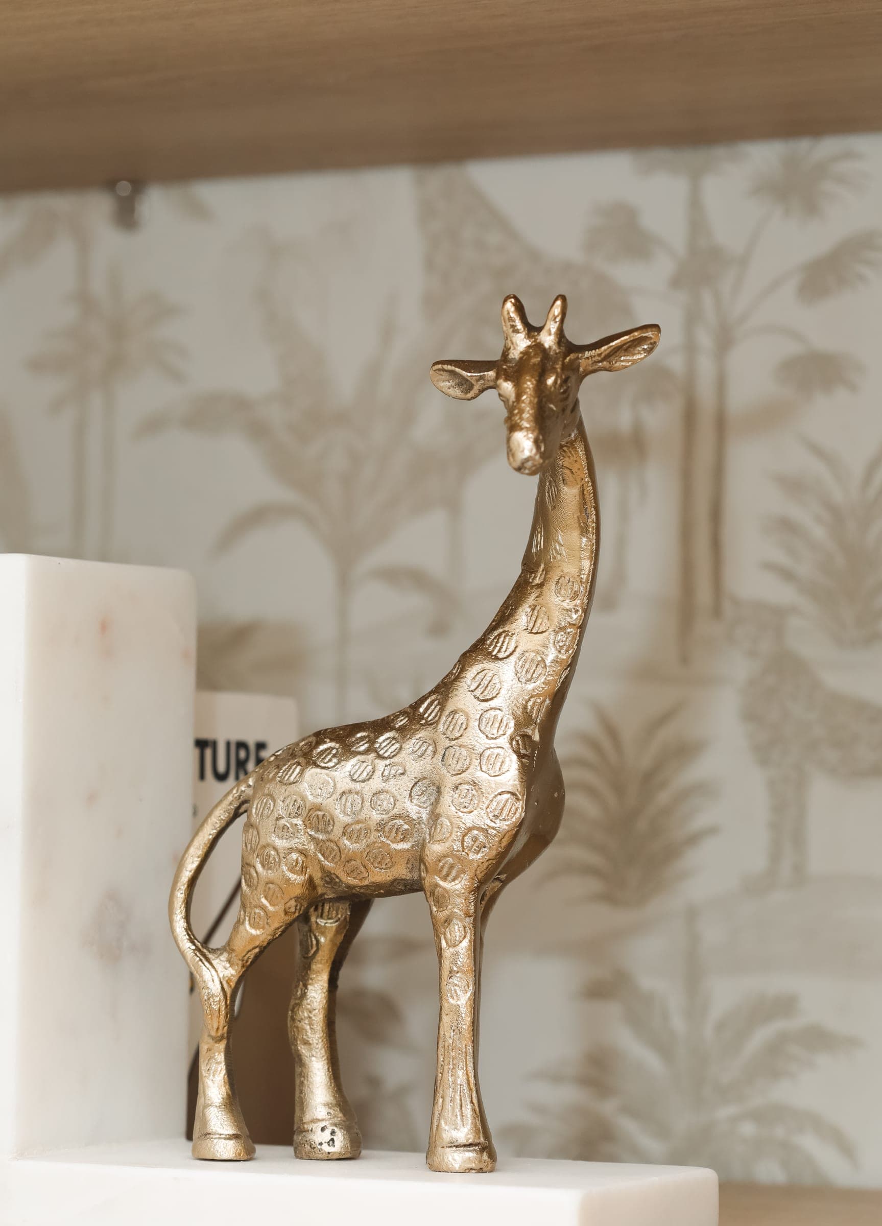 Boys Room, The Northwood Project, photo 5